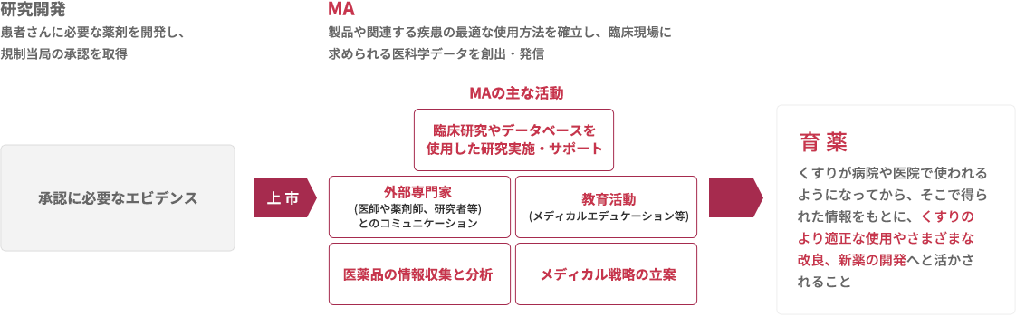 メディカルアフェアーズ（MA）とは