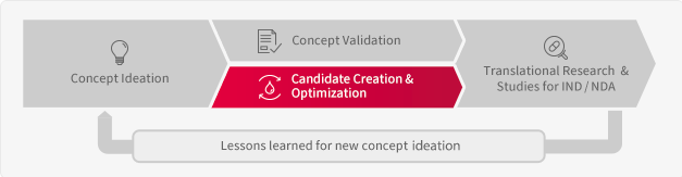 Candidate Creation & Optimization