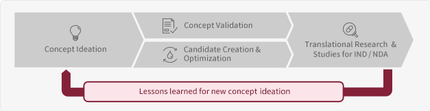 Lessons learned for new concept ideation