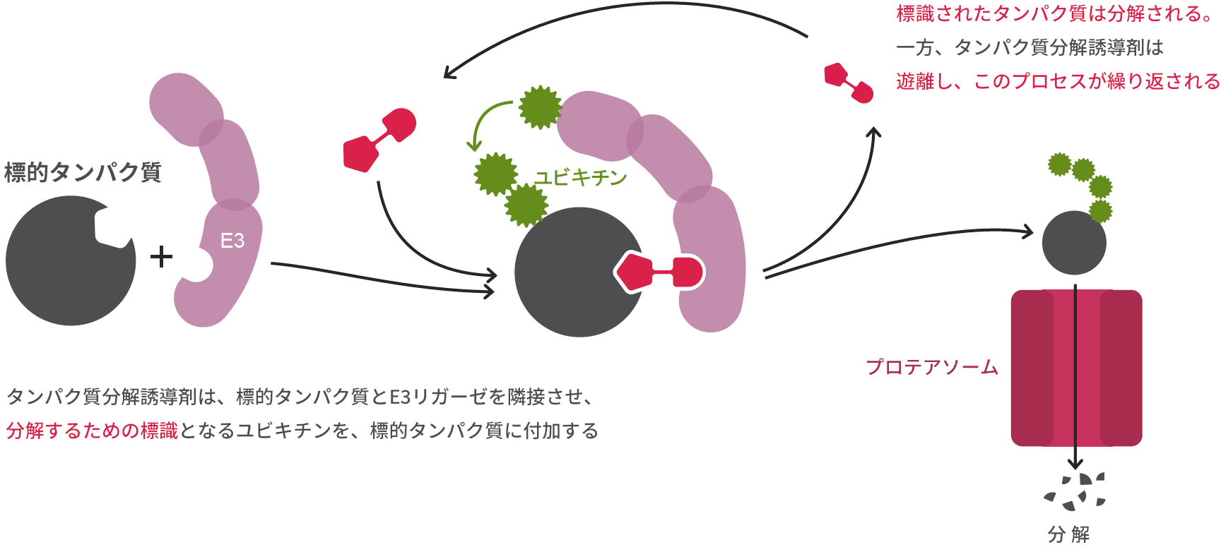 標的タンパク質